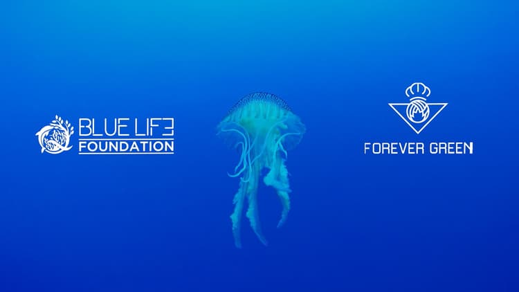 Blue Life Found. - Save Coral & Posidonia Campaign