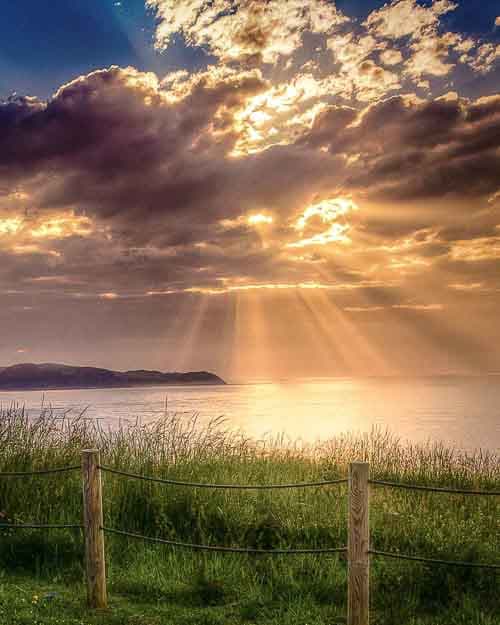 Shore Landscape