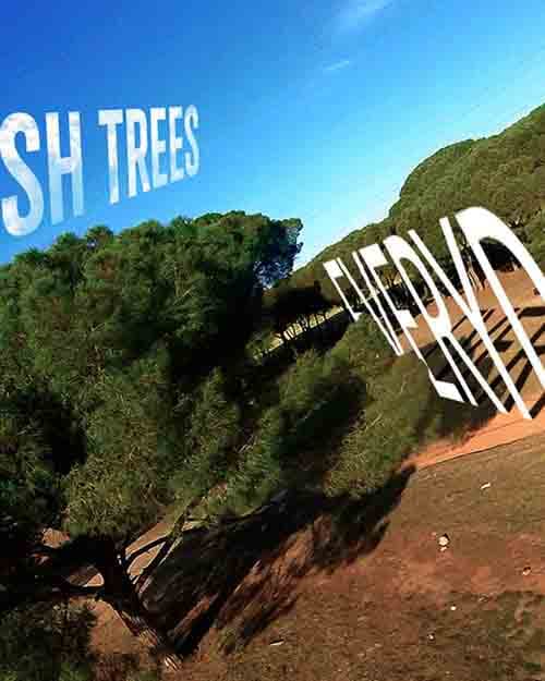 Drone Freestyle