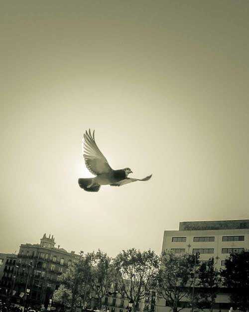 Street Photography